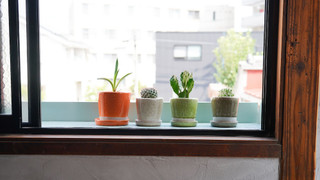 トラディショナル デラックスルーム