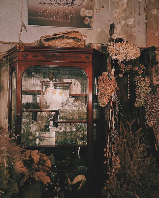 lanavenderさんの写真 / 4