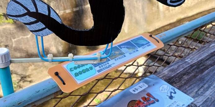 奄美大島ゲストハウス＆レンタルバイク 昭和荘（鹿児島県 民宿） / 1