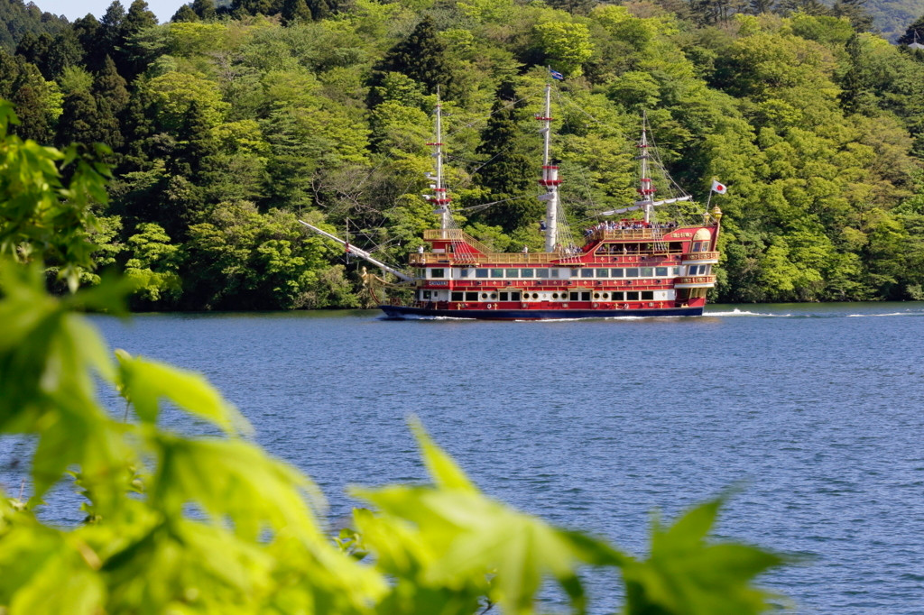 緑溢れる箱根で贅沢なひとときを3502116