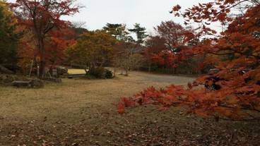 施設の敷地 / 19