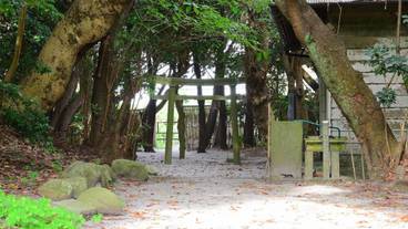 ランド ビュー / 31