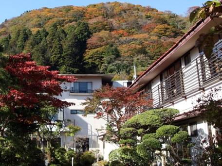 芦之湯温泉 美肌の湯 きのくにや（本館） / 4