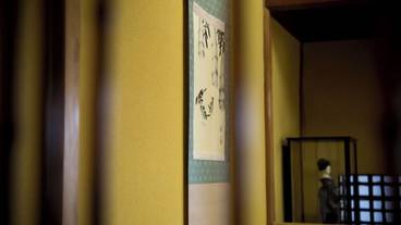 客室 / 26