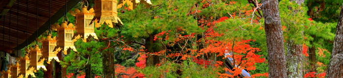 元気になれる女子ひとり旅へ!和歌山のおすすめホテル7選