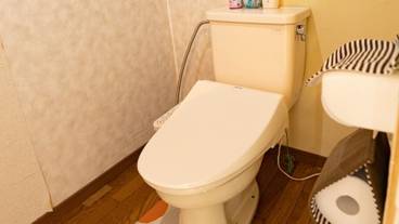 客室の設備とサービス / 31