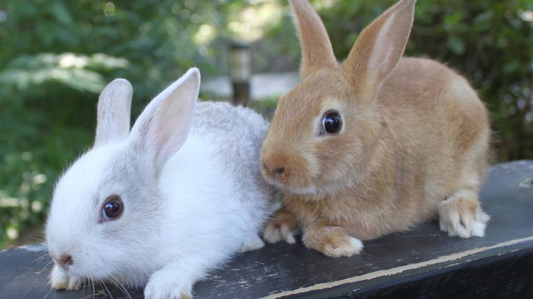 ふたりでのんびり癒される
里山のお散歩 / 3