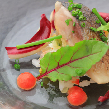 藤の花ホテル3645808