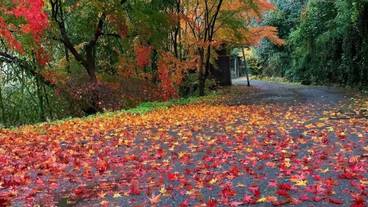 施設の敷地 / 14