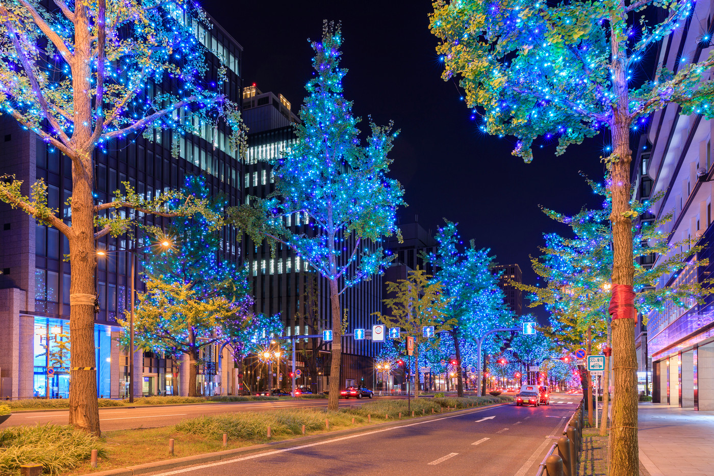 大阪の夜景・御堂筋のイルミネーション