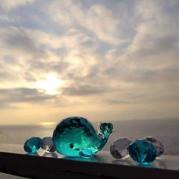 sa.e.riさんの写真 / 3