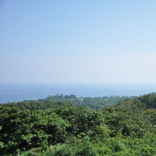 客室からの眺望一例／昼