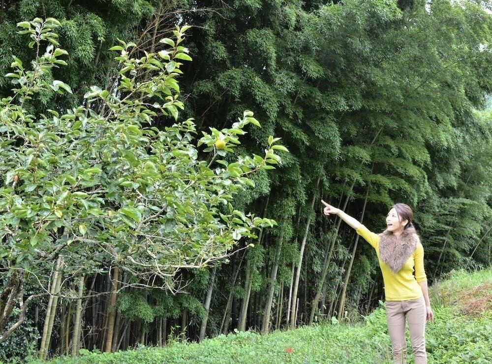 施設からの眺望