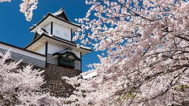 観光スポット / 6