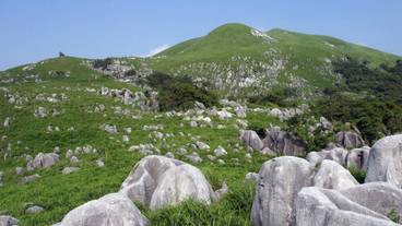 施設の敷地 / 17