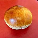 ハレビノ（ハレビノ）