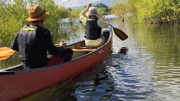 河口湖モーニングカヌー / 2