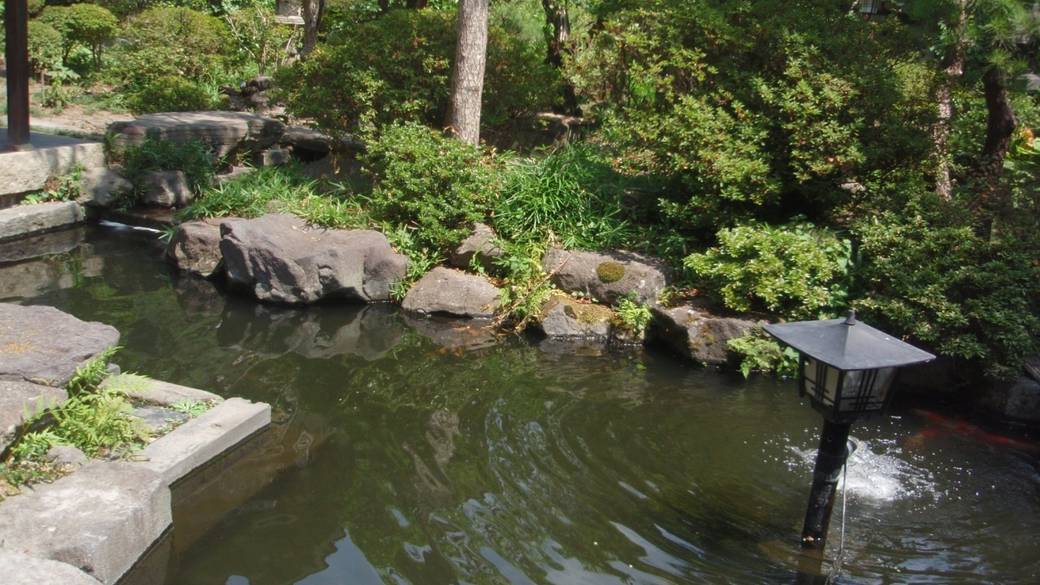 諏訪湖湖畔を散歩
幻想的な夕焼けに感動 / 4