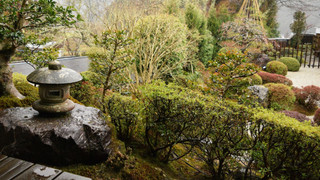 山吹の間 (京間8畳＋3畳)