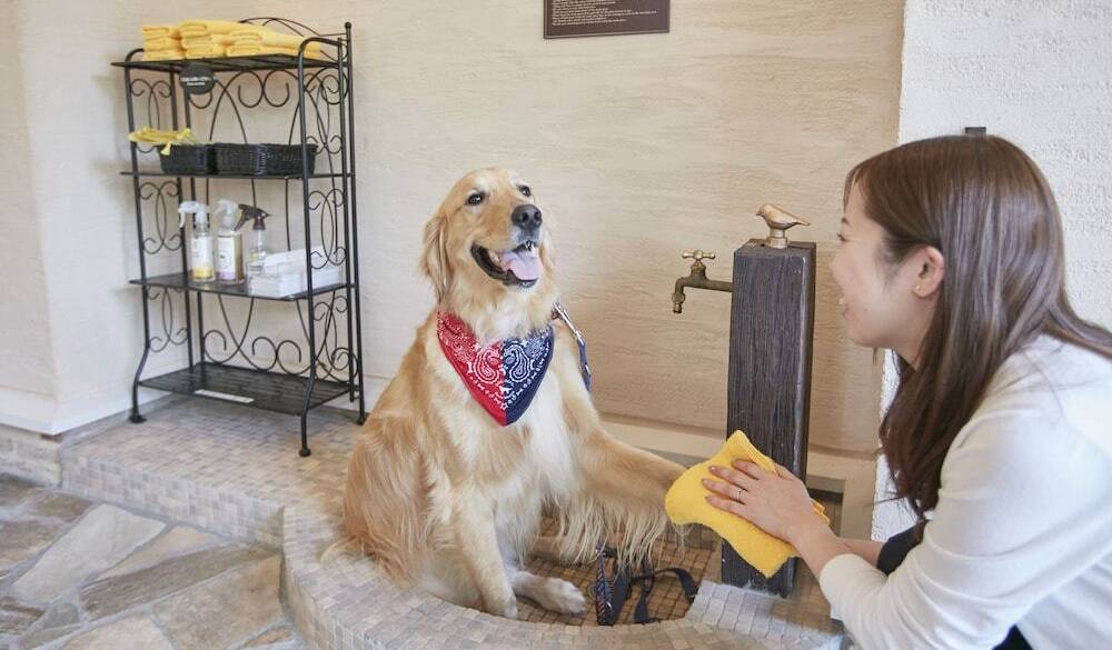 愛犬家のためのホテルに
チェックイン / 4