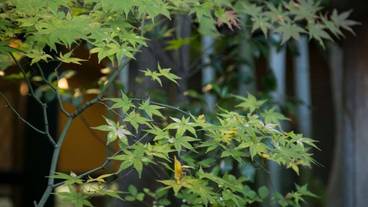 施設の敷地 / 12