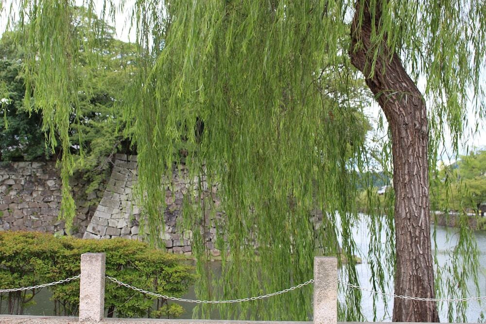 施設からの眺望