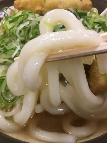 「牧のうどん 博多バスターミナル店」 料理 60098049 フニフニなうどんさん(*´ω`*)