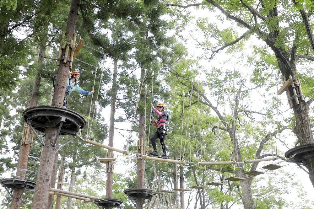 ロープ コース (チーム ビルディング用)