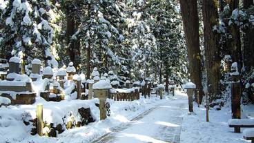 観光スポット / 26