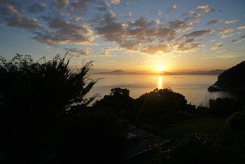 2.小屋場 只只(こやば ただただ)3385839