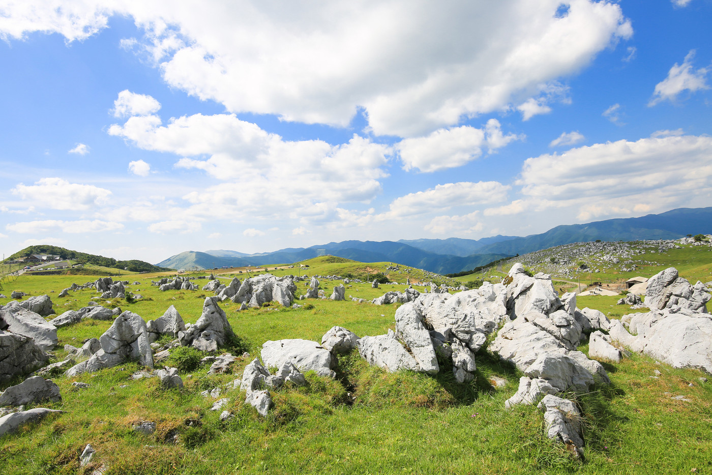 四国カルスト　五段高原の風景