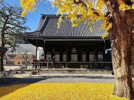 ホテル ひとめぼれ / 5