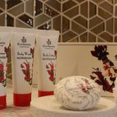 THE BLOSSOM HIBIYA（ザ ブラッサム 日比谷）（東京都 シティホテル） / 5