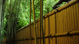 [本館] 星彩～源泉かけ流し半露天檜風呂 - 和洋室