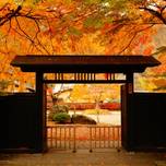自然が織り成す秋の絶景。秋田県のおすすめ紅葉スポット8選