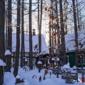 エゾリス君の宿 カンタベリー(北海道 民宿) / 3