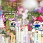 リン♪と風鈴の音色に夏が薫る。全国の寺社で開催される「風鈴祭り」7選【2019】
