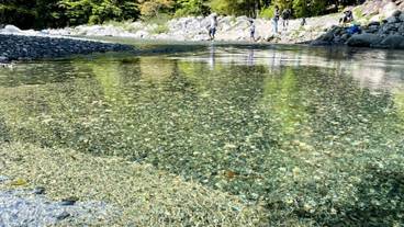 施設からの眺望 / 17