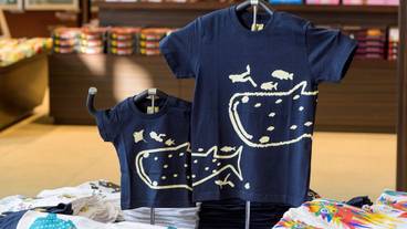 かねひで喜瀬ビーチパレス（カネヒデキセビーチパレス） / 10