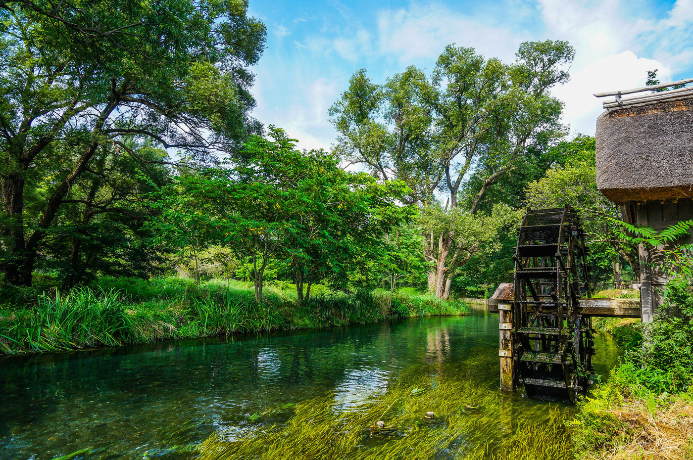 清流と水車小屋