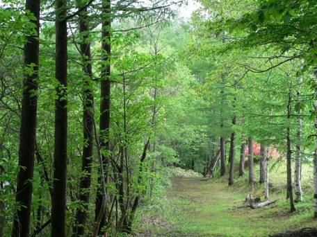 草津温泉 草津グリーンパークパレス / 4