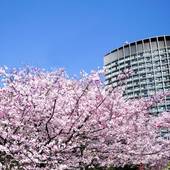 ホテルグランドアーク半蔵門（運営 帝国ホテルグループ）（東京都 シティホテル） / 4