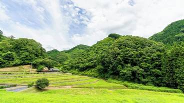 テラス / パティオ / 11