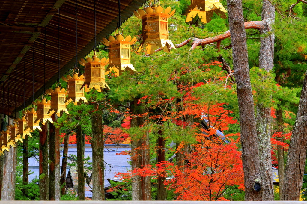 元気がなくなったら自然豊かな和歌山へ3967371