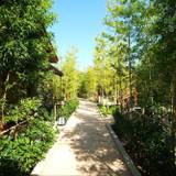 大人の隠れ宿
「雨情草庵」に到着 / 1