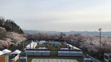 観光スポット / 9