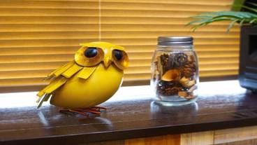 リビング エリア / 24