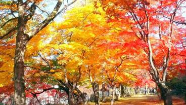 観光スポット / 5