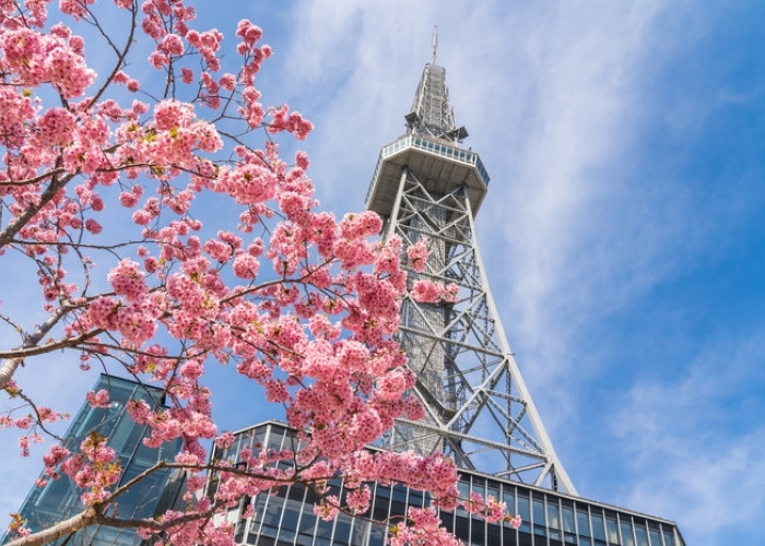 旧テレビ塔内に泊まるというなかなかできない体験にワクワク