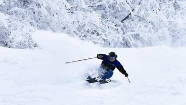 スノー スポーツとスキー / 2